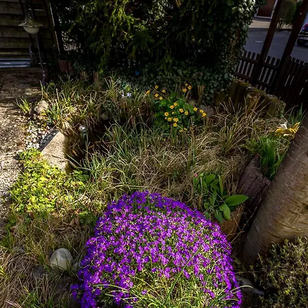 Schoenes Wohnen Im Gruenen Apartamento *