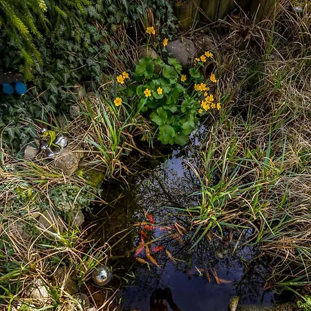Schoenes Wohnen Im Gruenen * Riedlingen
