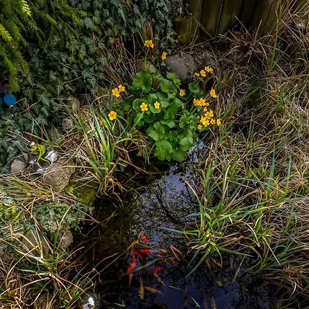 Schoenes Wohnen Im Gruenen Apartamento *